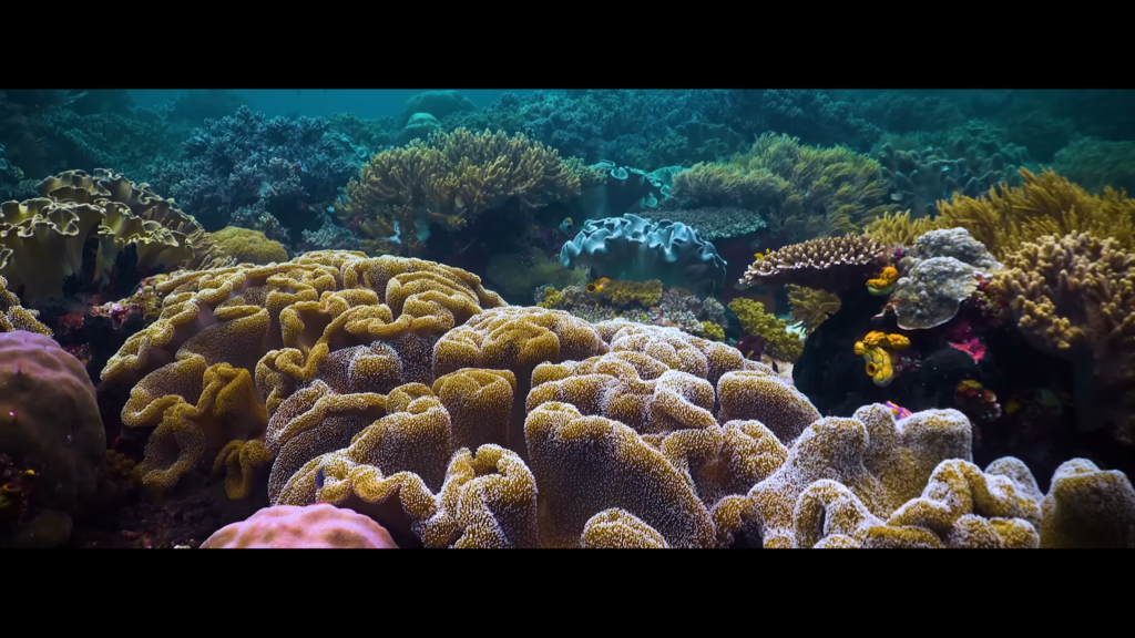 Raja Ampat